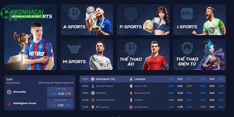 Chiến lược soi kèo World Cup 2026 giúp tăng tỷ lệ thắng