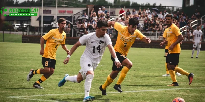 Kèo thơm hôm nay là gì và cách nhận biết kèo thơm chuẩn xác