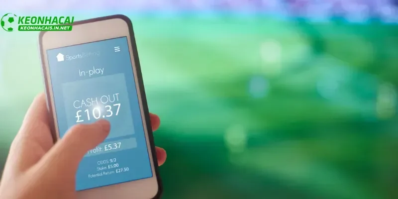 Phân tích tỷ lệ kèo Việt Nam giúp tăng cơ hội chiến thắng